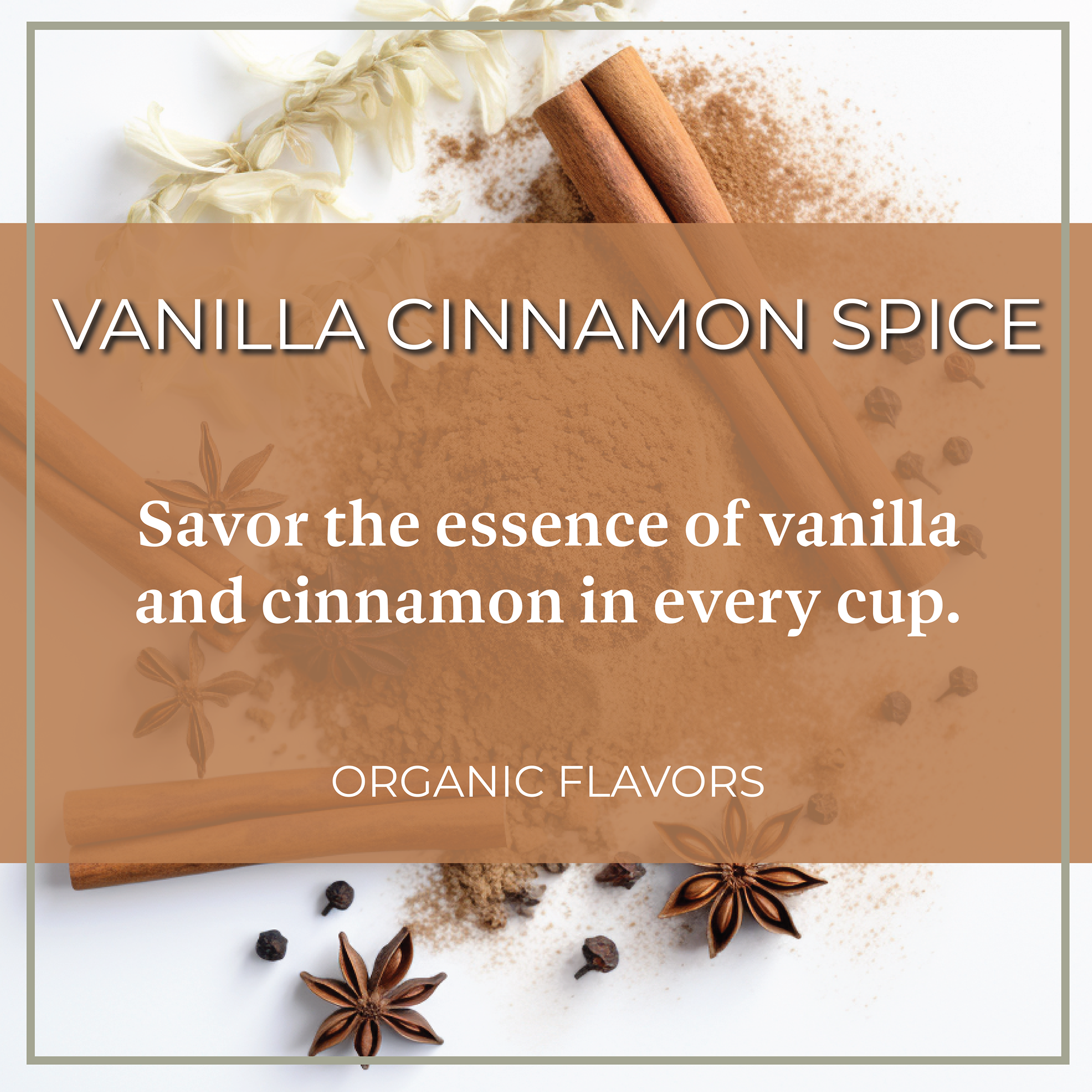 DECAF Organic Holiday Bean ~ Vanilla Cinnamon Spice Flavored Coffee