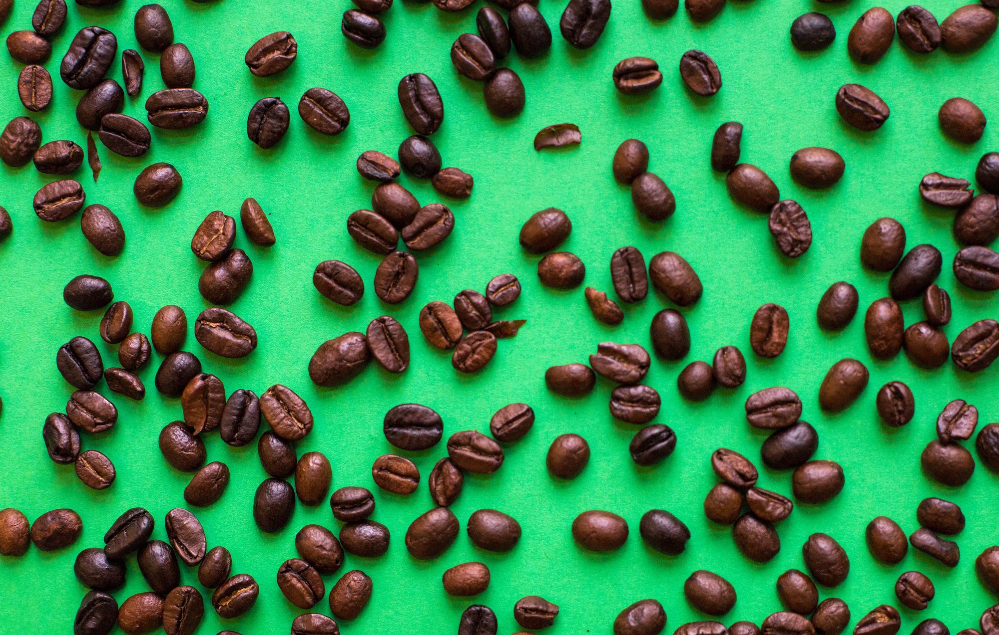 Arabica vs Robusta: Why we use 100% Organic Arabica Beans