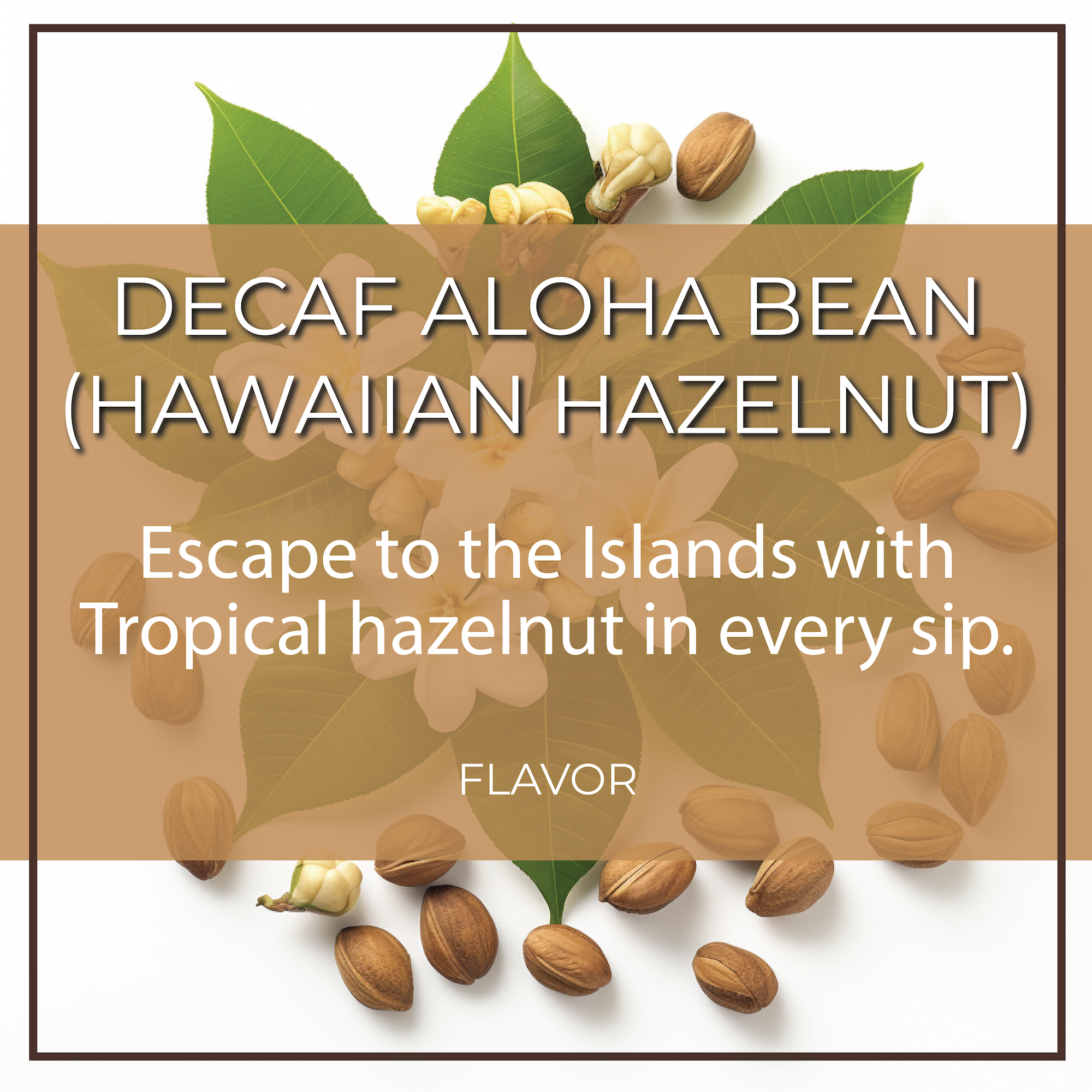 DECAF Organic Aloha Bean ~ Hawaiian Hazelnut Flavored Coffee