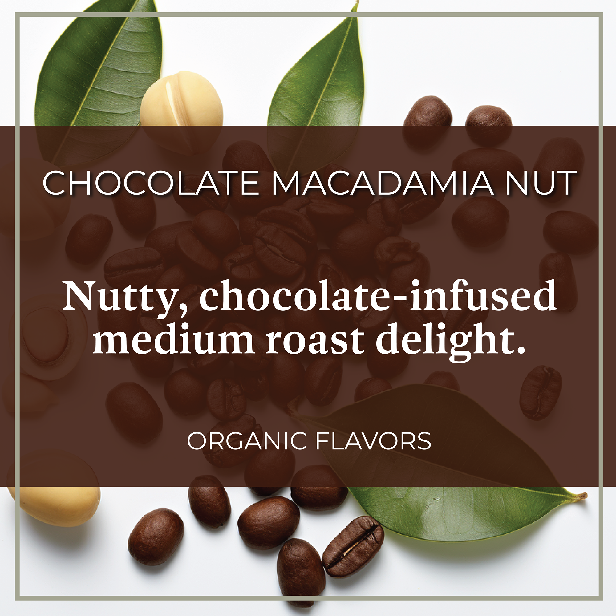 Organic Chocolate Macadamia Nut Coffee